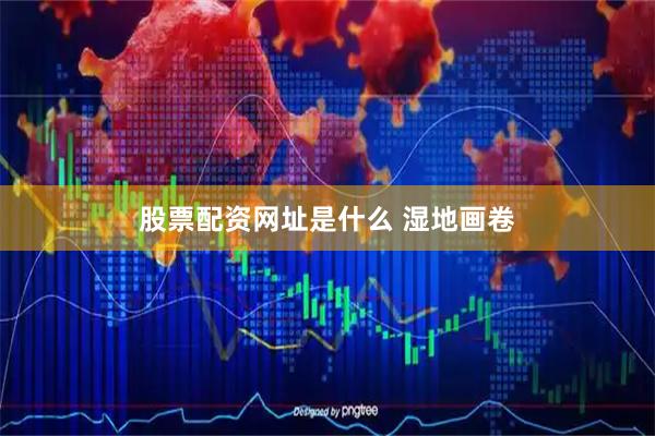 股票配资网址是什么 湿地画卷